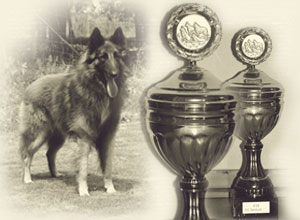 Themenbild_Ausstellungen