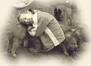 Themenbild_vMensch_zMm_Hund